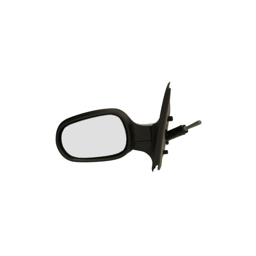 Blic 5402-04-1121571P Wing Mirror for Renault Clio