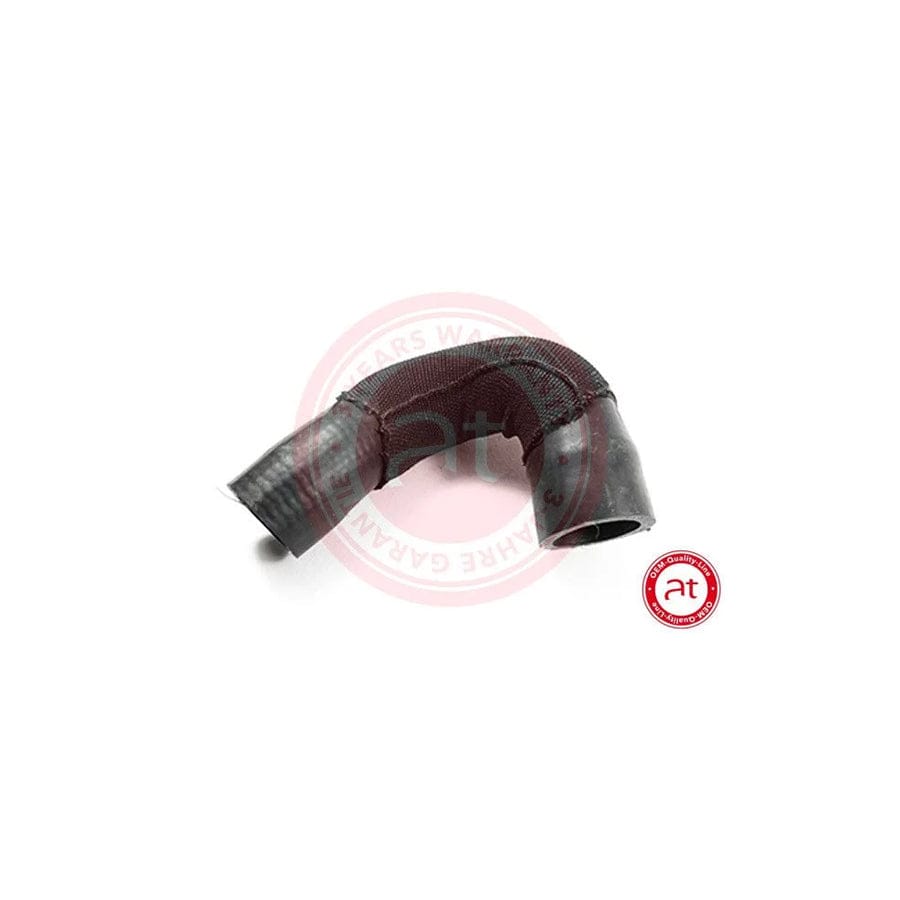 at autoteile germany At20553 Charger Intake Hose