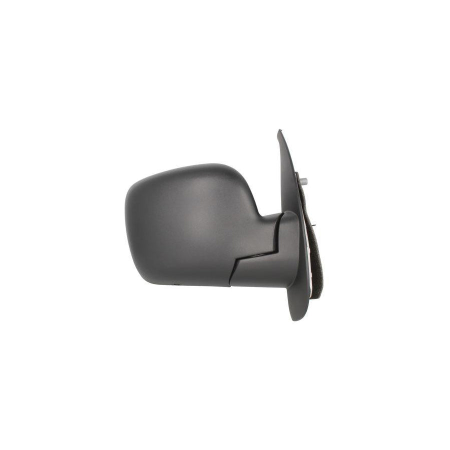 Blic 5402-04-1121568P Wing Mirror for Renault Kangoo