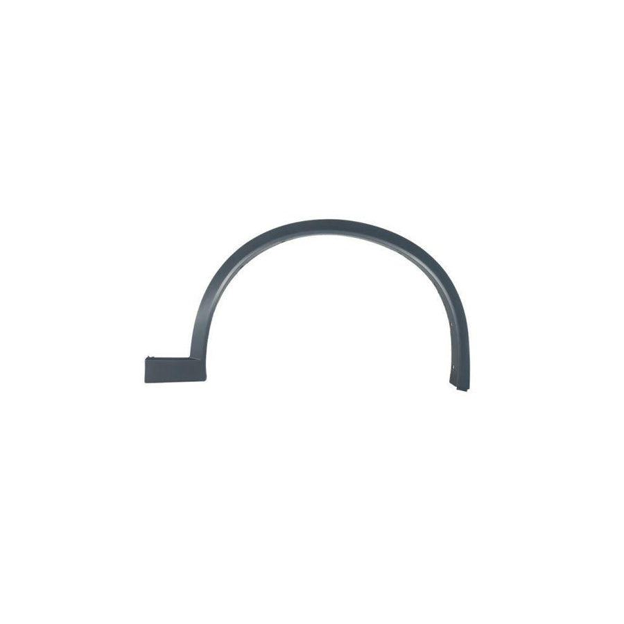 Blic 5703-08-0093376P Trim / Protective Strip, Mudguard