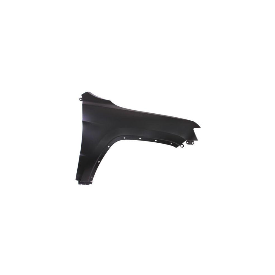 Blic 6504-04-3206312P Wing Fender for Jeep Grand Cherokee IV (Wk, Wk2)