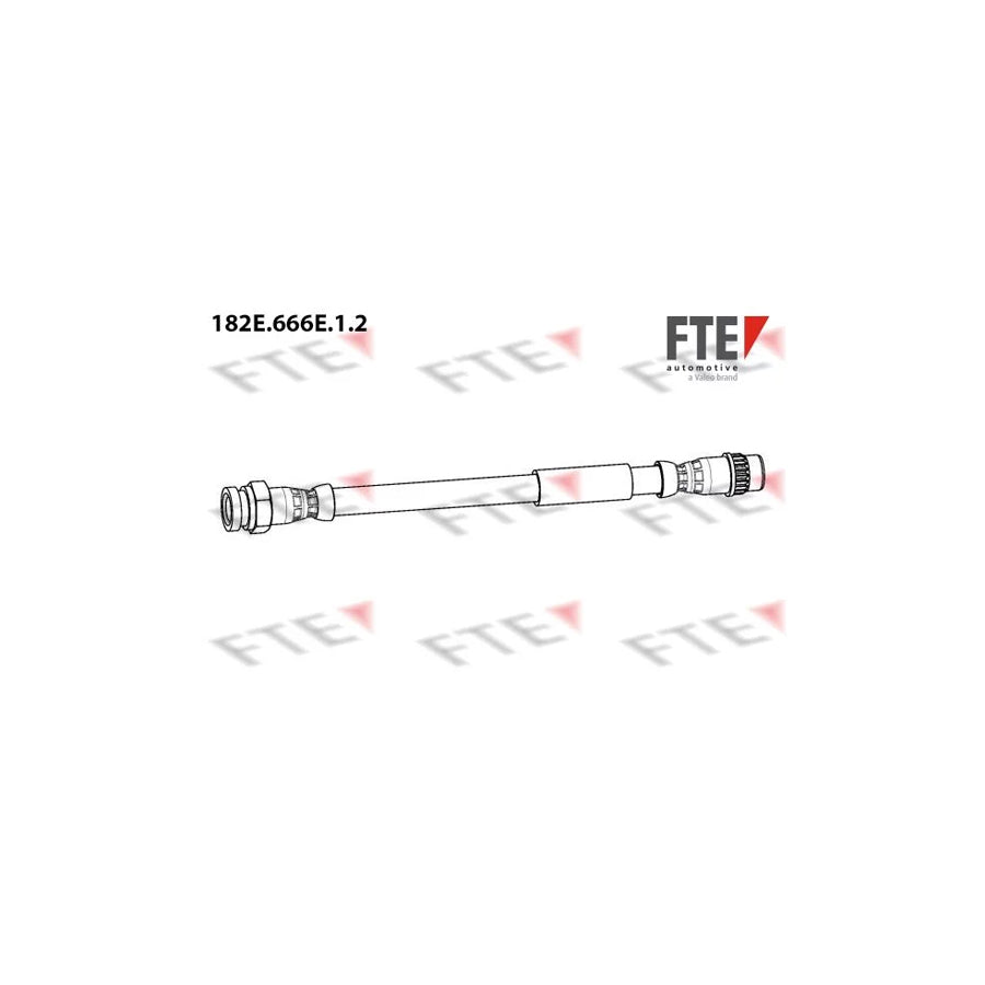 FTE 182E.666E.1.2 Brake Hose