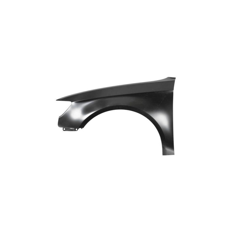 Blic 6504-04-0032313P Wing Fender for Audi A6