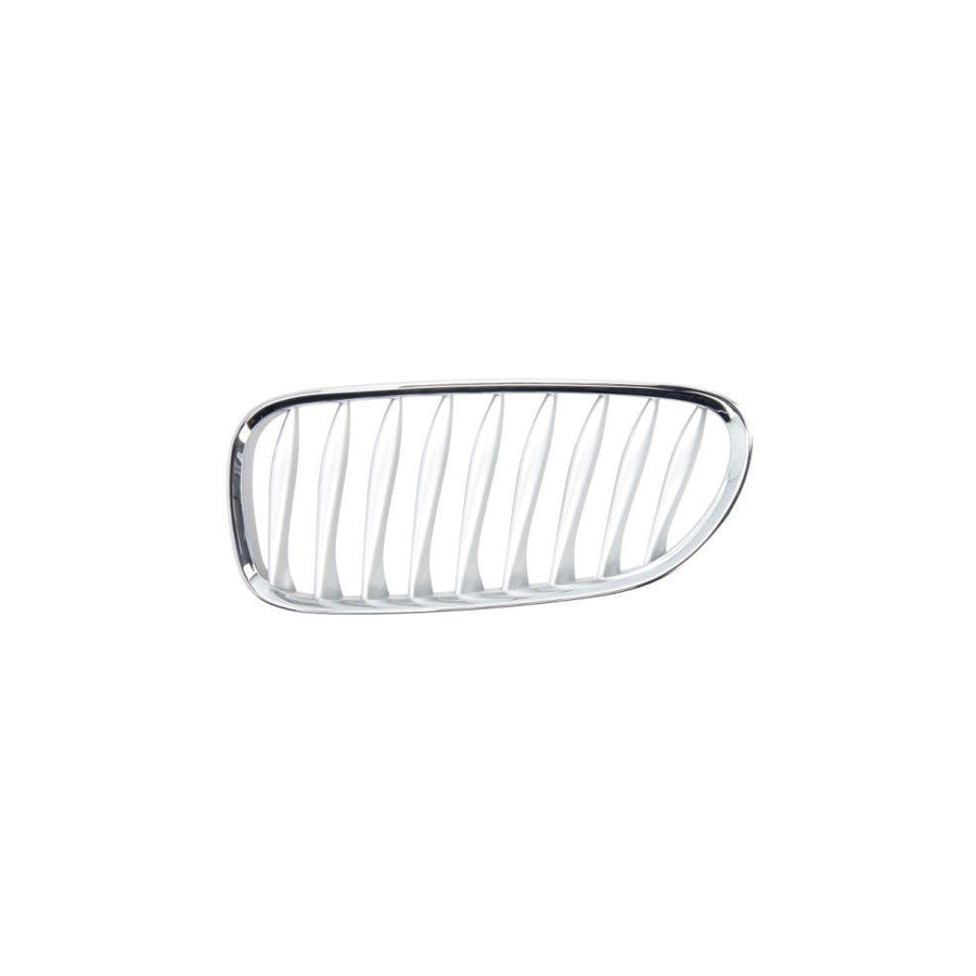 Blic 6502-07-0089993P Radiator Grille for BMW Z4