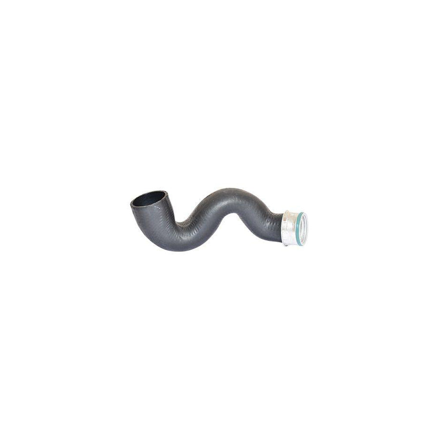 BUGIAD 82609 Charger Intake Hose