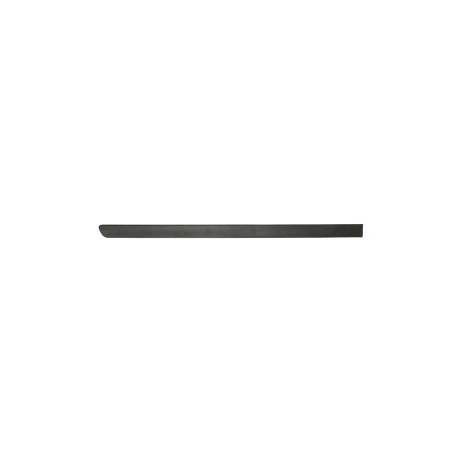 Blic 5703-04-5026574P Door Molding for Opel Meriva A (X03)