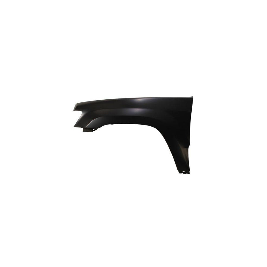 Blic 6504-04-3205311P Wing Fender for Jeep Grand Cherokee III (Wh, Wk)