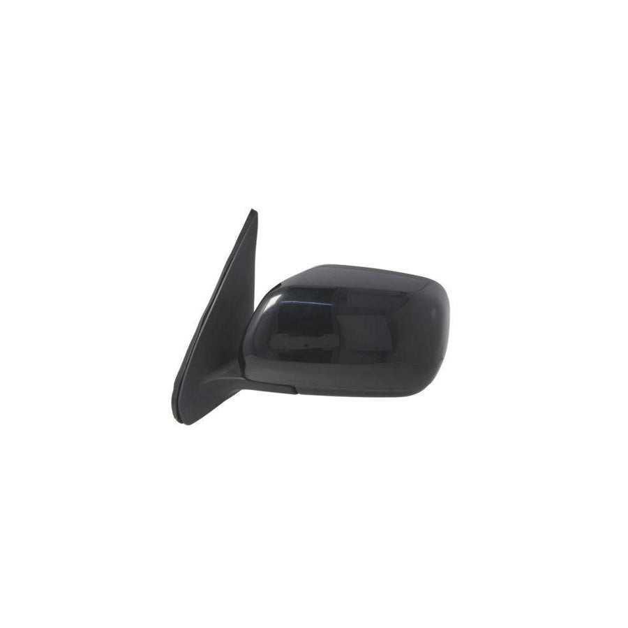 Blic 5402-18-2002399P Wing Mirror for Suzuki Grand Vitara II Off-Road (Jt, Te, Td)