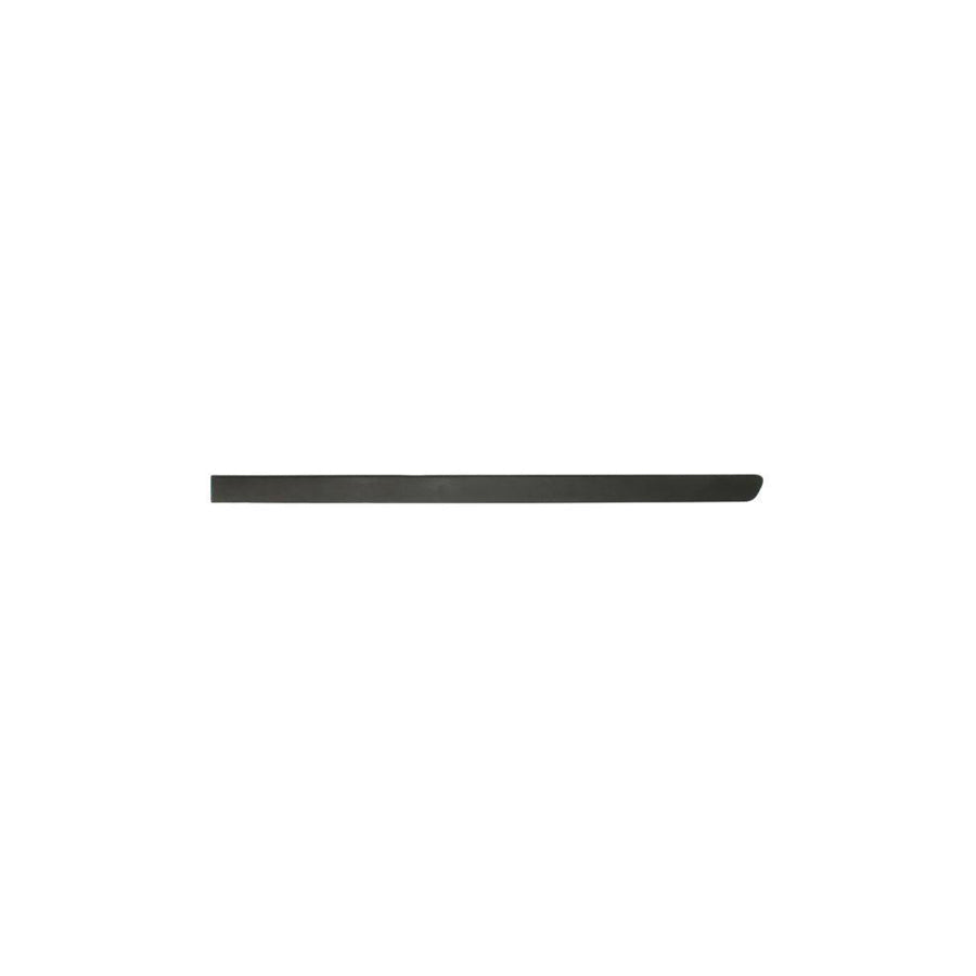 Blic 5703-04-5026573P Door Molding for Opel Meriva A (X03)