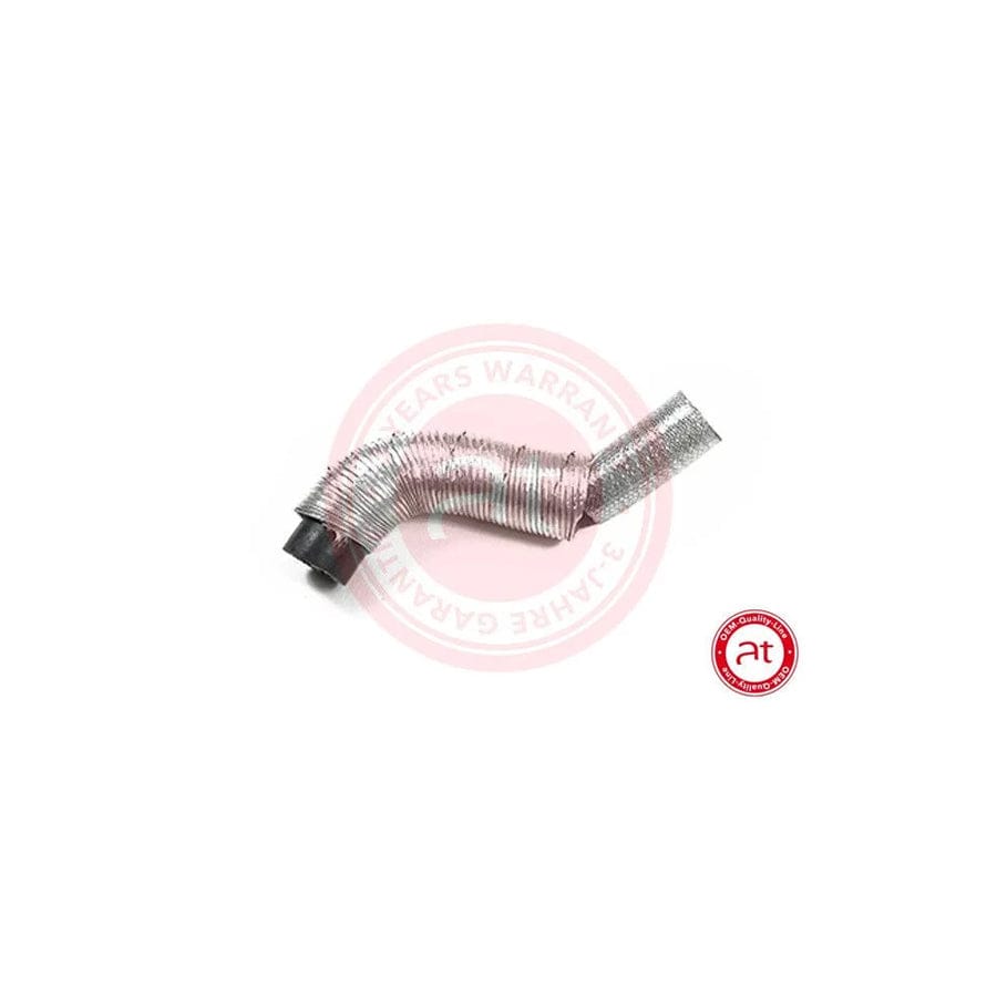 at autoteile germany At20618 Charger Intake Hose