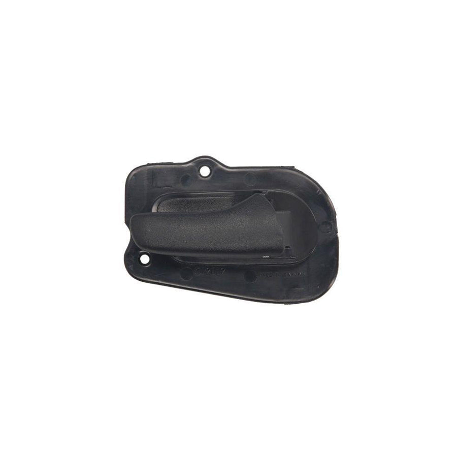 Blic 6015-00-3541126P Door, Body