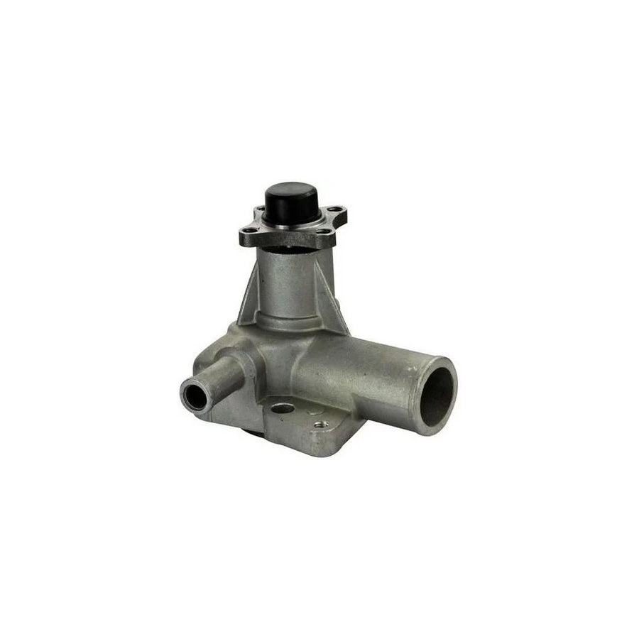Denckermann A310018 Water Pump