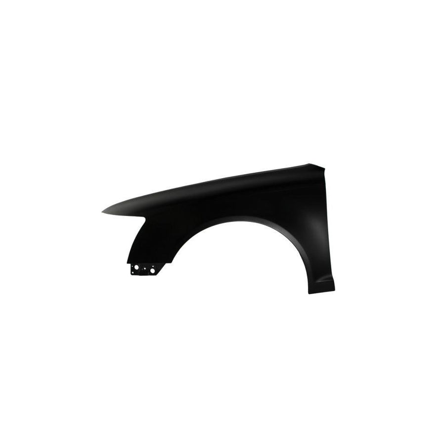 Blic 6504-04-0031313Ap Wing Fender for Audi A6