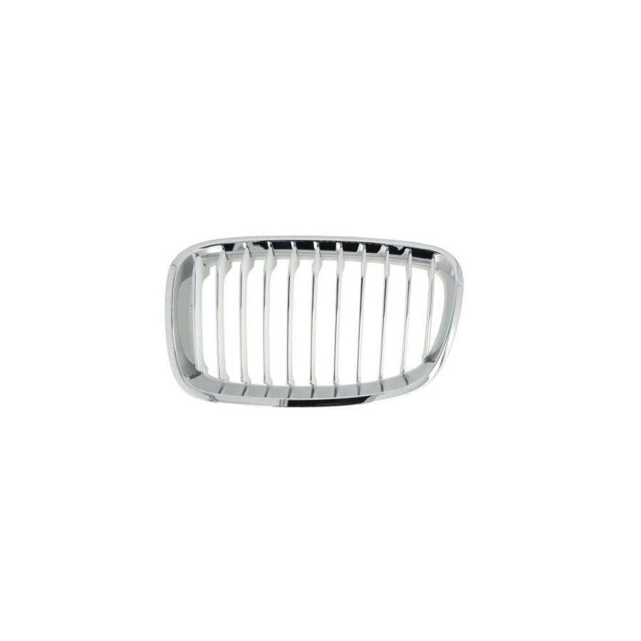 Blic 6502-07-0086993P Radiator Grille for BMW 1 Series