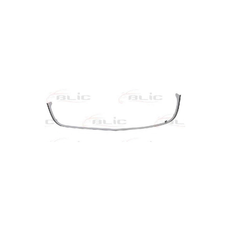 Blic 6502-07-5078992P Trim / Protective Strip, Radiator Grille