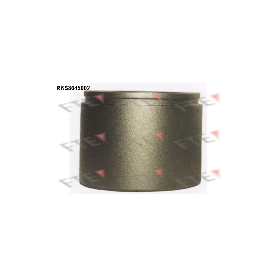 FTE Rks8645002 Piston, Brake Caliper