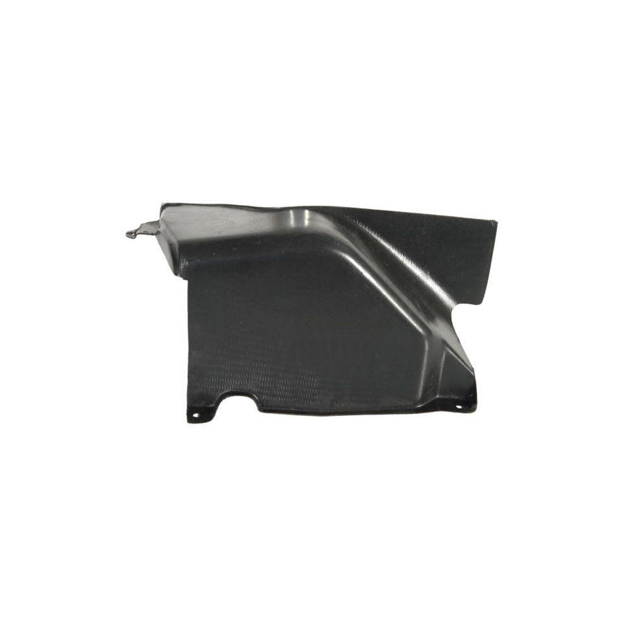 Blic 6601-02-9522890P Engine Cover