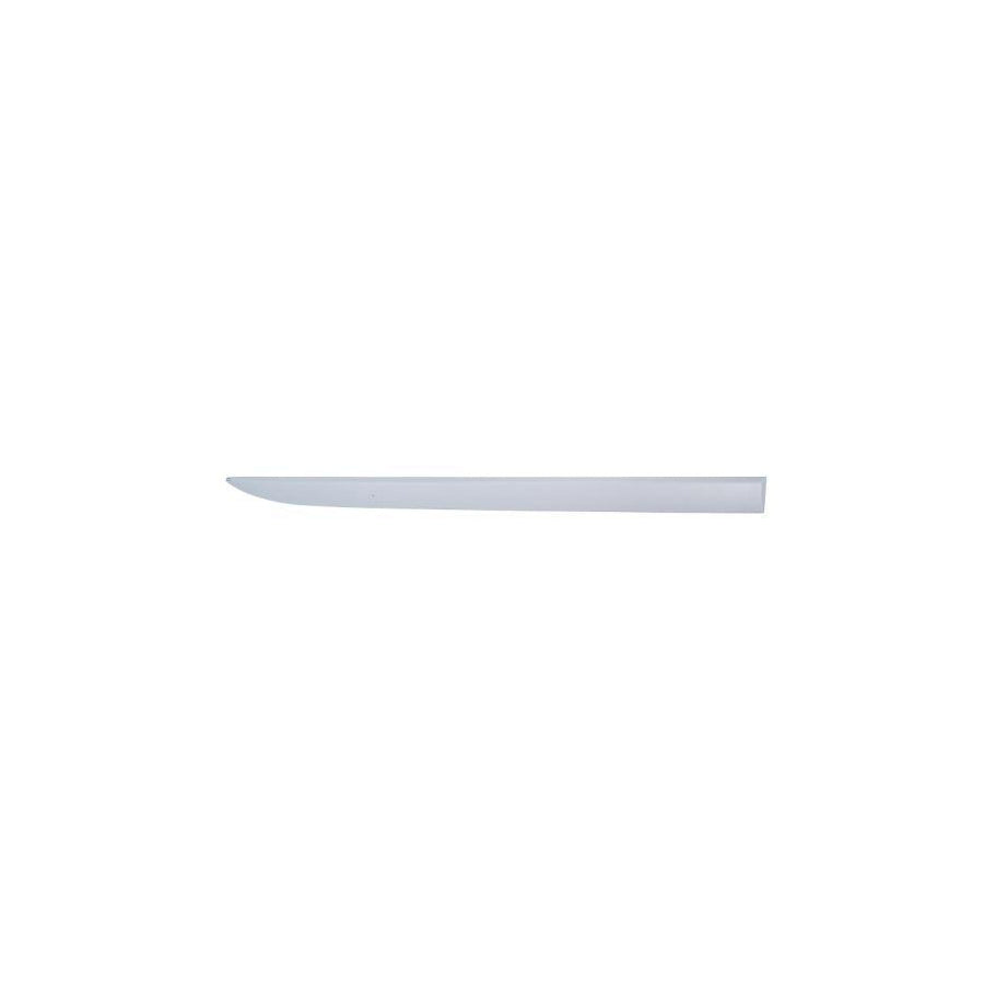 Blic 5703-04-5024576Pp Door Molding for Opel Corsa D Hatchback (S07)