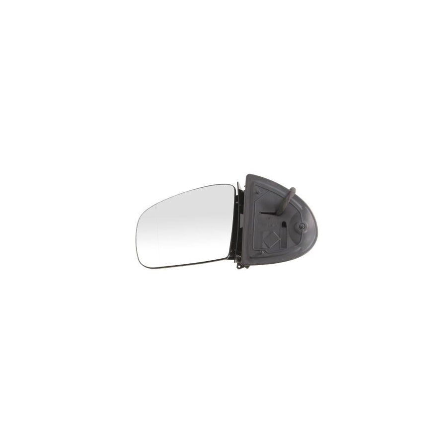 Blic 5402-04-1329510 Wing Mirror Suitable for Mercedes-Benz ML-Class (W163)