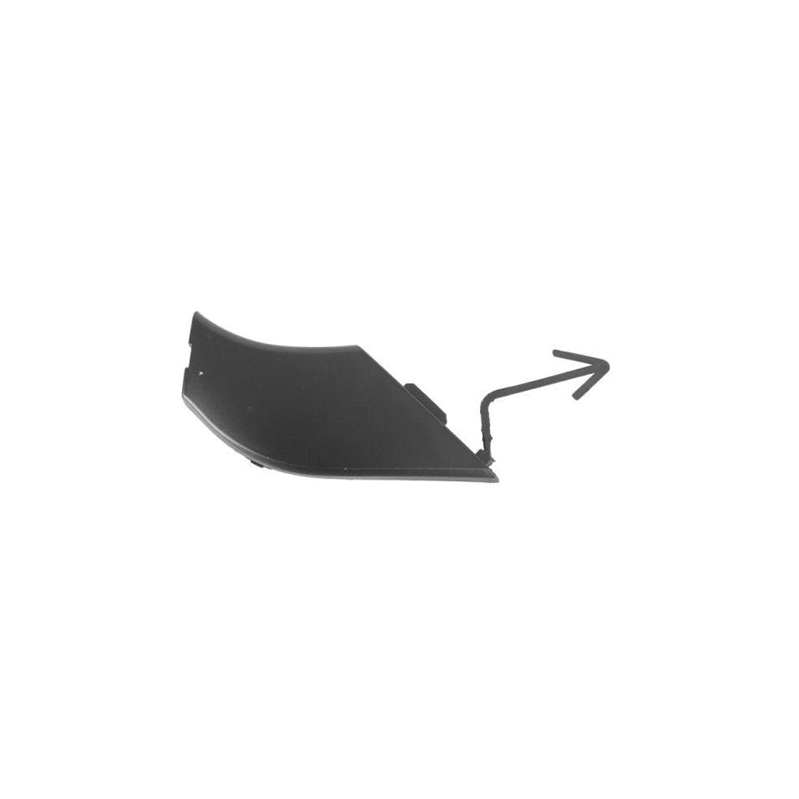 Blic 5513-00-2512929Q Flap, Tow Hook