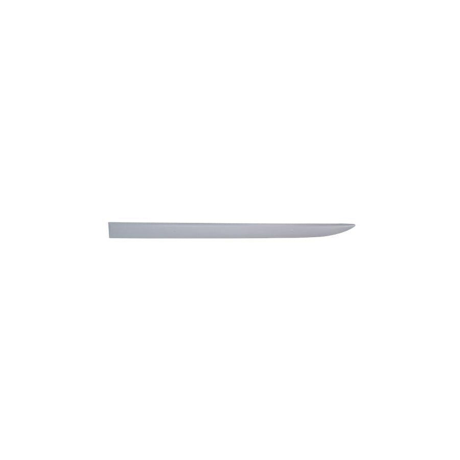 Blic 5703-04-5024575Pp Door Molding for Opel Corsa D Hatchback (S07)