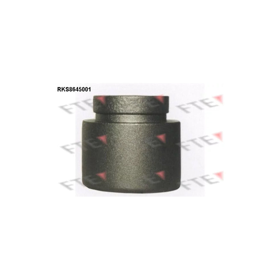 FTE Rks8645001 Piston, Brake Caliper