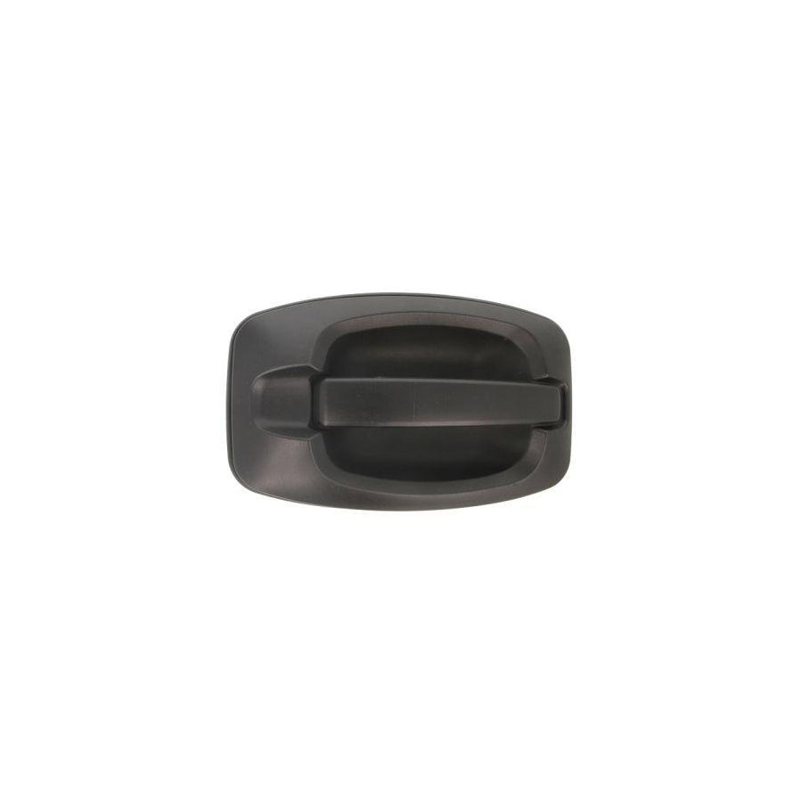 Blic 6010-07-038402P Door Handle