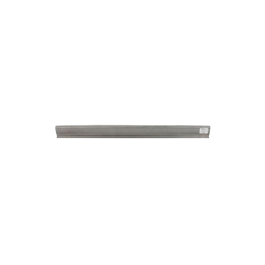 Blic 6505-06-3191017P Rocker Panel