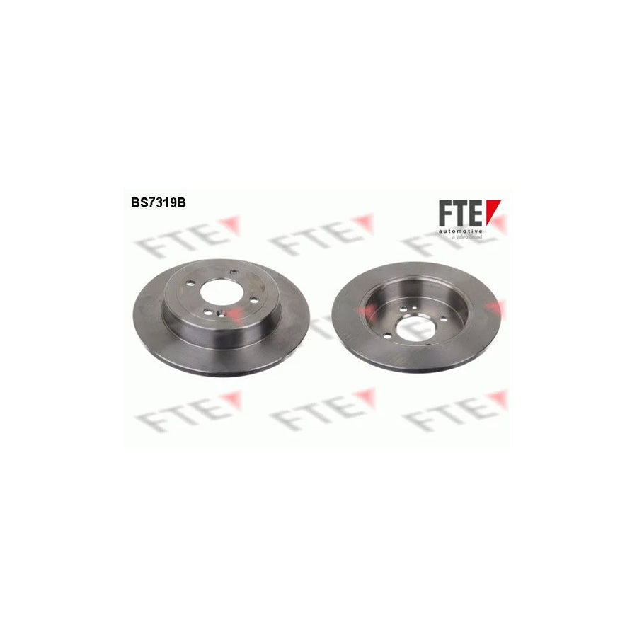FTE Bs7319B Brake Disc