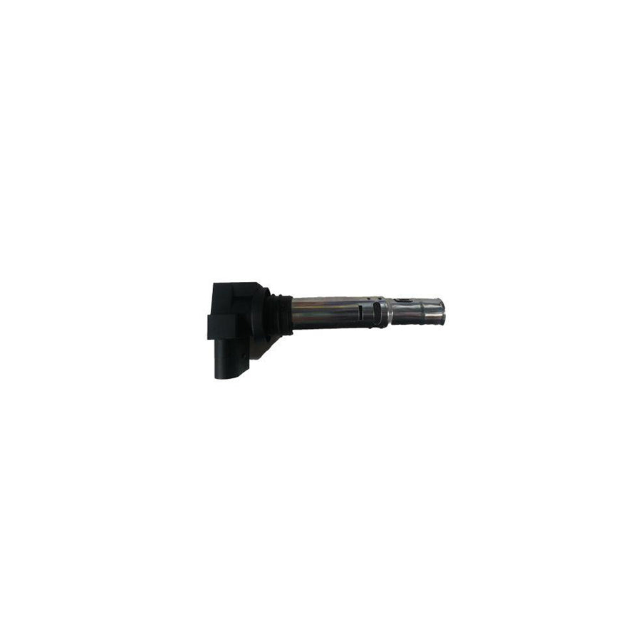 BUGIAD Bsp24897 Ignition Coil Unit