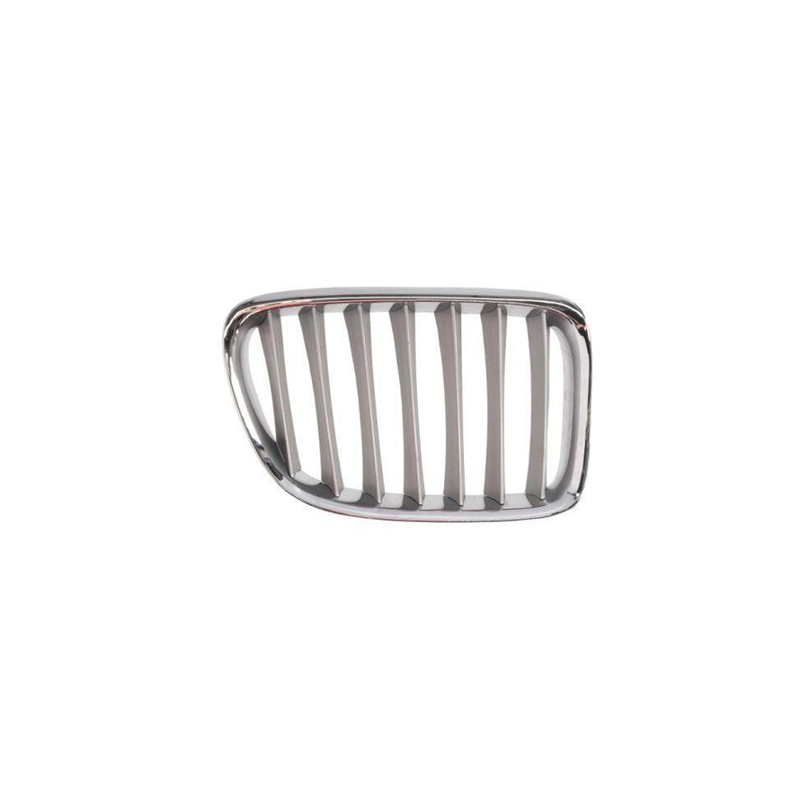 Blic 6502-07-0092994P Radiator Grille for BMW X1 (E84)