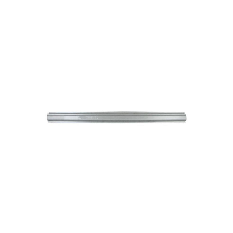 Blic 6601-01-6049805P Repair Panel for Renault Laguna