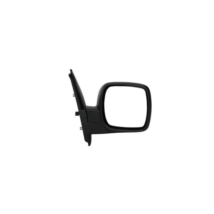 Blic 5402-04-1121579P Wing Mirror for Renault Kangoo