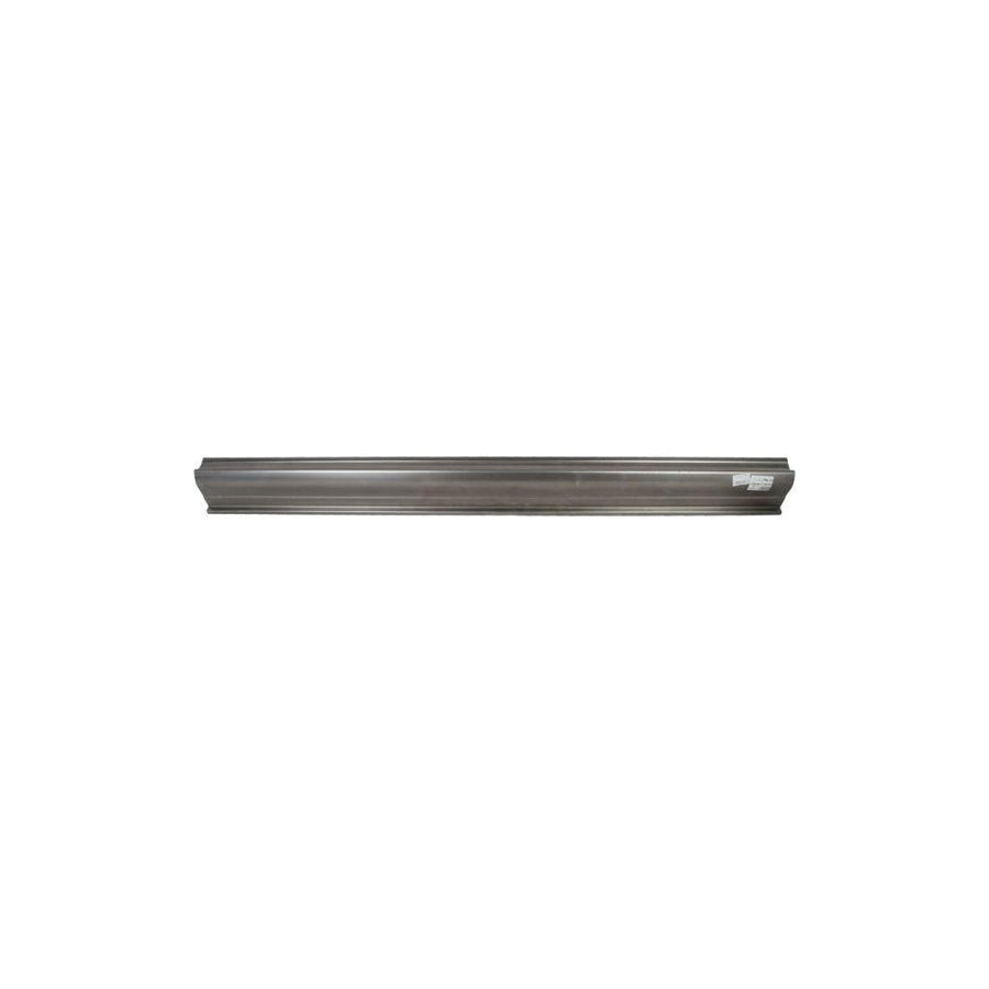 Blic 6505-06-3175015P Rocker Panel for Hyundai Tucson (Jm)