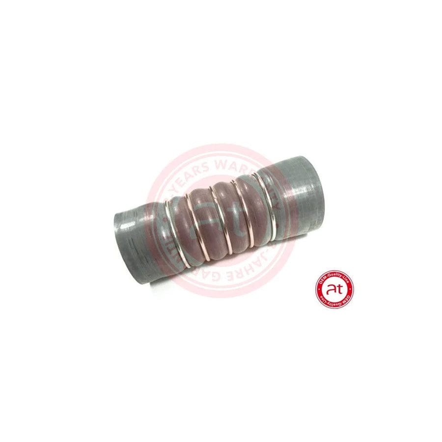 at autoteile germany At20715 Charger Intake Hose for Ford Fiesta Mk6 Hatchback (Ja8, Jr8)