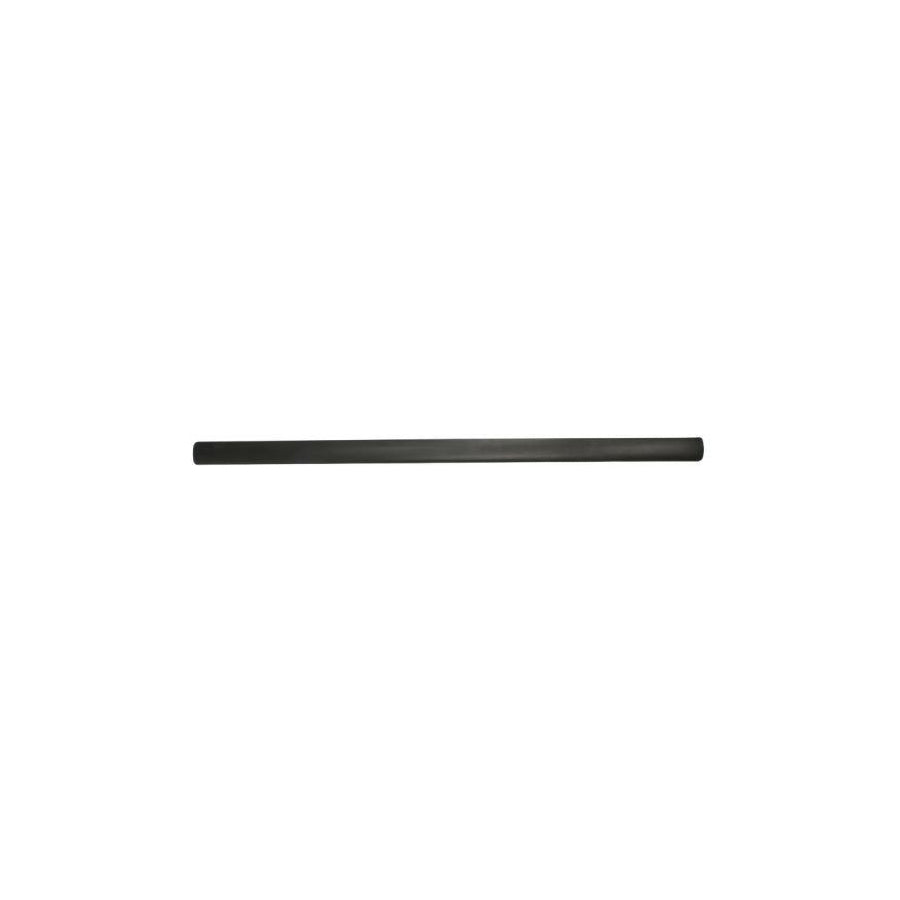 Blic 5703-04-5051572P Door Molding for Opel Astra