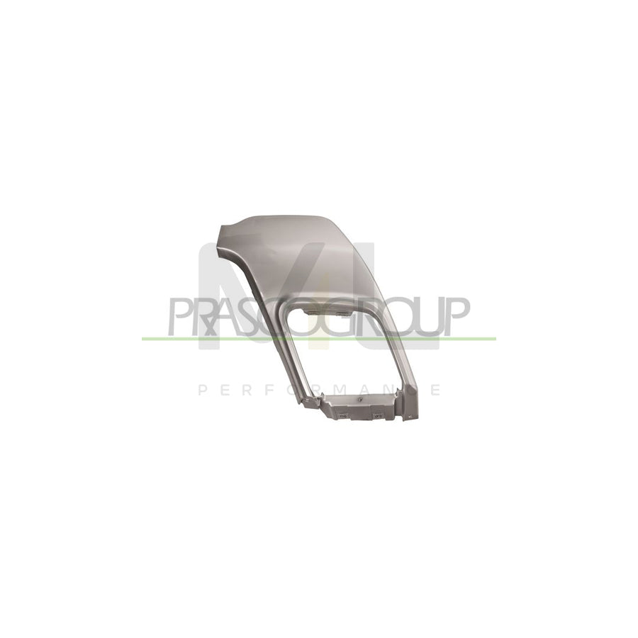 PRASCO LR7002153 Exhaust tip for LAND ROVER Range Rover Evoque (L538) Silver, Right Rear