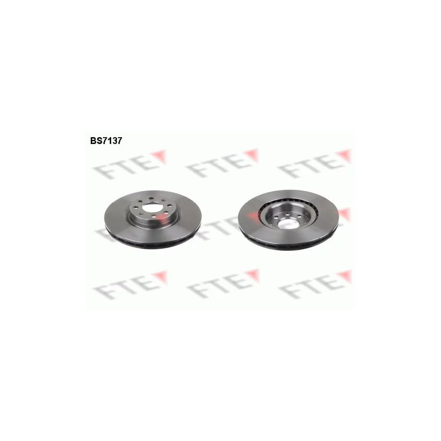 FTE 9072602 Brake Disc