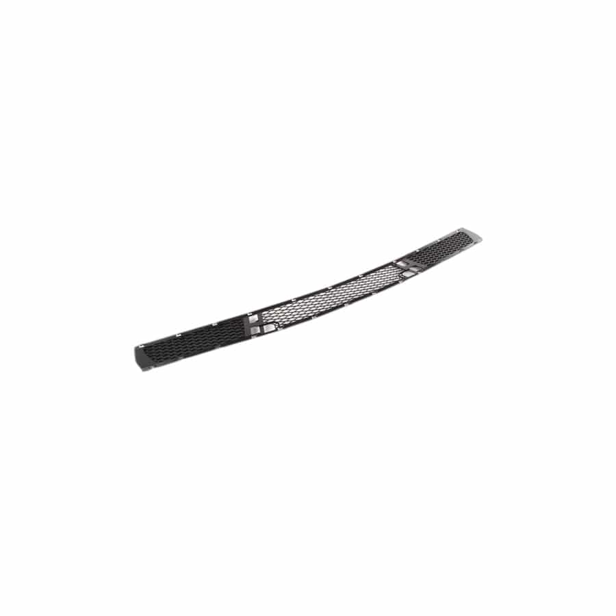 Genuine BMW 51113400908 E83 Grid, Bumper Front (Inc. X3)