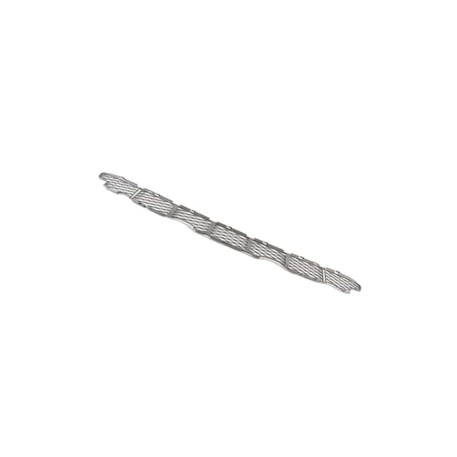 Genuine BMW 51117123956 E53 Grid, Bottom TITAN 2 (Inc. X5 3.0i, X5 4.4i & X5 3.0d)