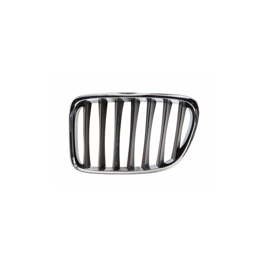 Blic 6502-07-0092991P Radiator Grille for BMW X1 (E84)