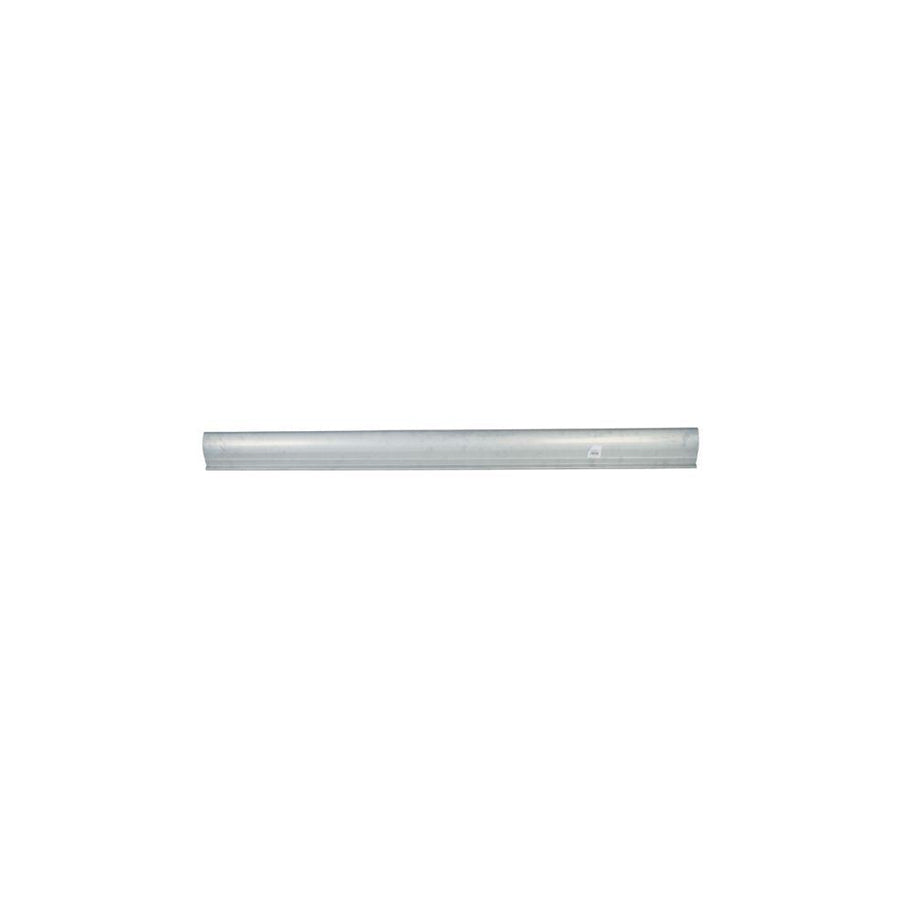Blic 6505-06-3166016P Rocker Panel for Hyundai Sonata III (Y-3)