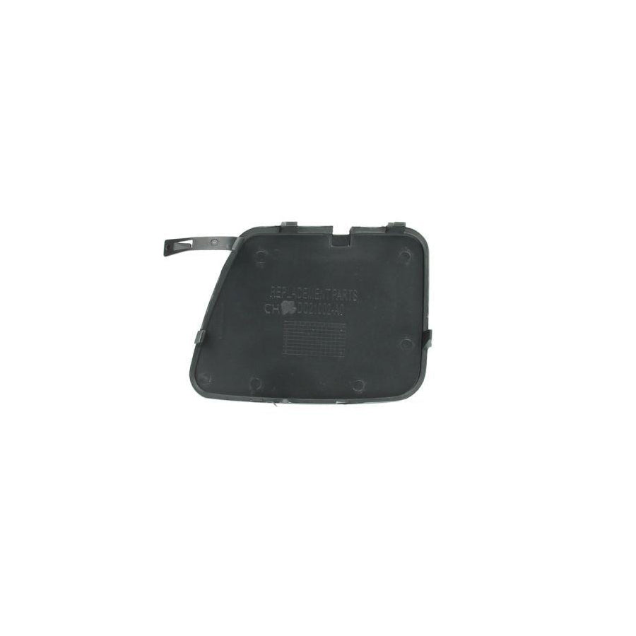 Blic 6003-00-0178P Roller Guide, Sliding Door for Ford Transit