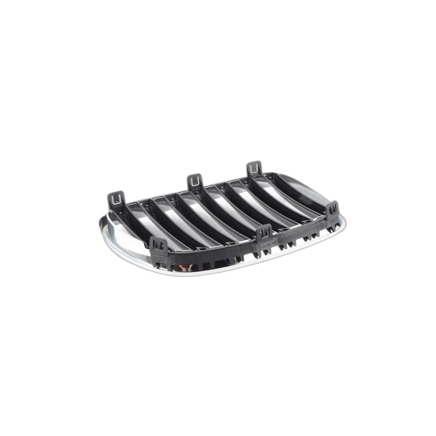 Genuine BMW 51113420091 E83 Grille, Front, Left GRAPHITMETALLIC (Inc. X3)