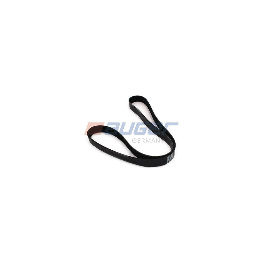 Auger 87721 V-Ribbed Belt