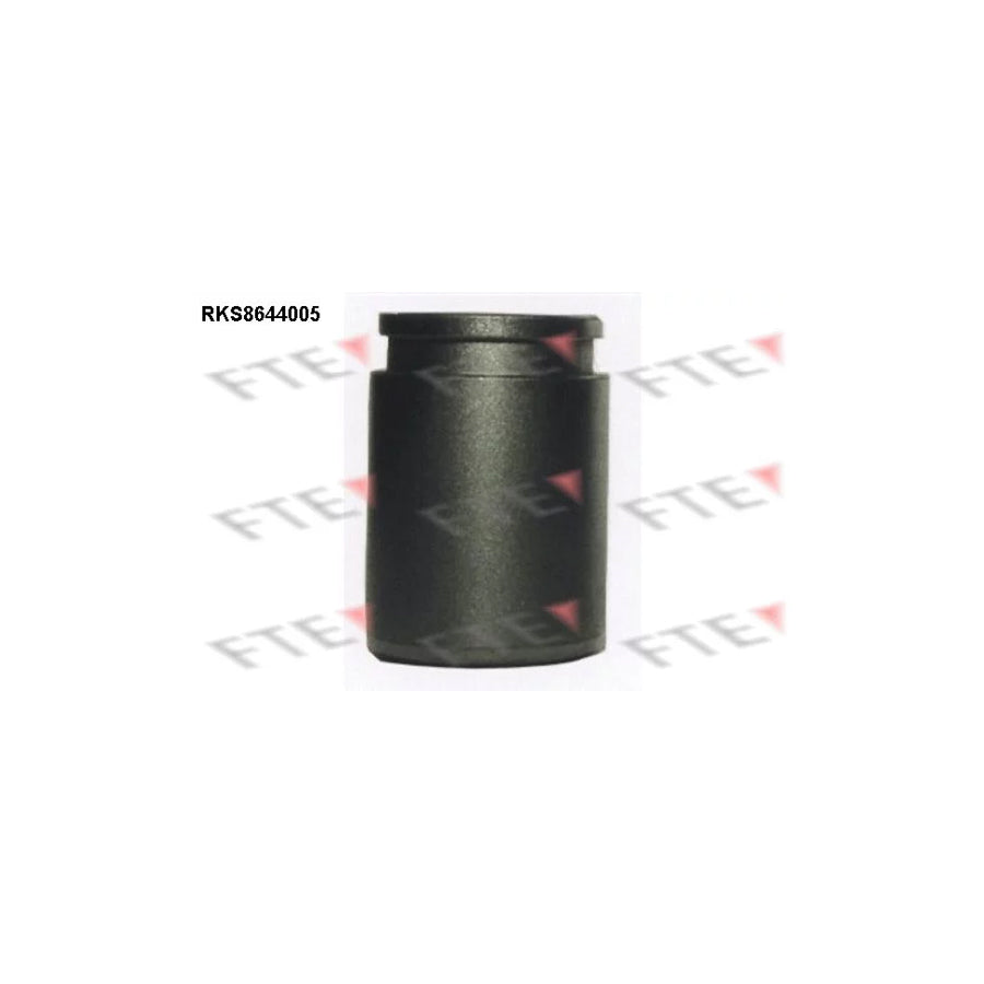 FTE Rks8644005 Piston, Brake Caliper