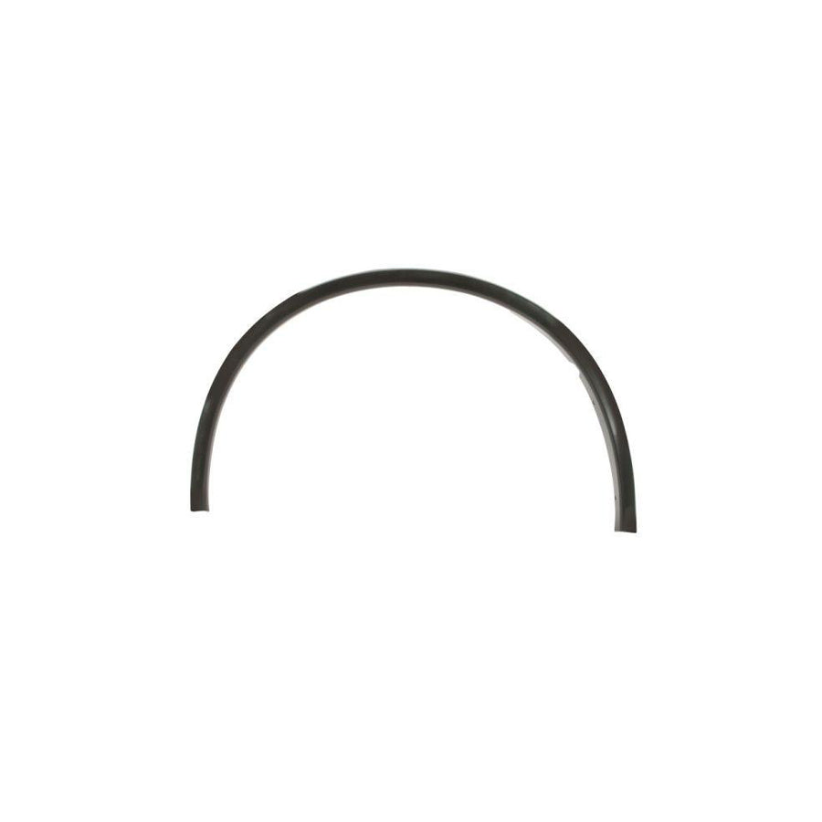 Blic 5703-08-0926372Pp Trim / Protective Strip, Mudguard for Dodge Durango (Wd)
