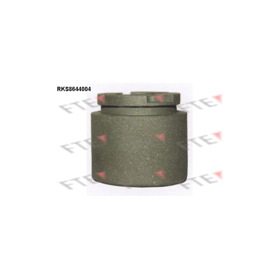 FTE Rks8644004 Piston, Brake Caliper