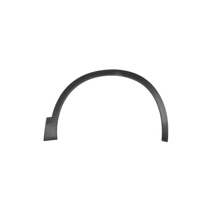 Blic 5703-08-1617376Q Trim / Protective Strip, Mudguard for Nissan Qashqai / Qashqai 2 I (J10, Nj10)