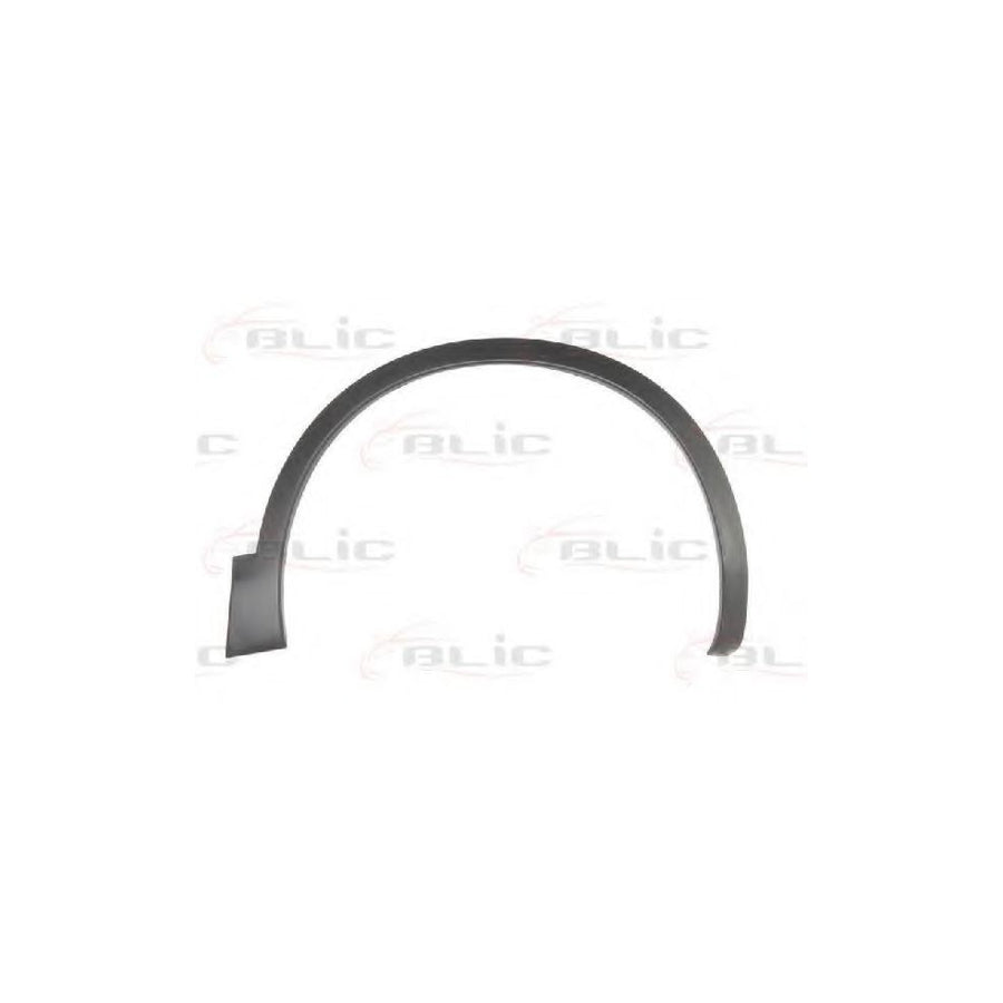 Blic 5703-08-1617376P Trim / Protective Strip, Mudguard for Nissan Qashqai / Qashqai 2 I (J10, Nj10)